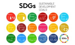 Read more about the article 上智学院SDG’s & サステナビリティ推進本部のページで紹介されました